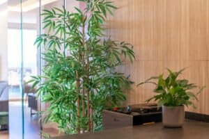 Foto van Appartement in Altea Mascarat – afbeelding 50