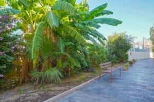 Foto van Appartement in Javea – afbeelding 20