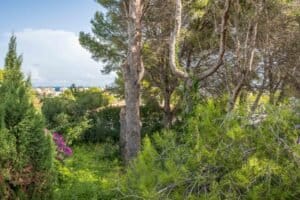 Foto van Perceel in Javea Adsubia – afbeelding 0