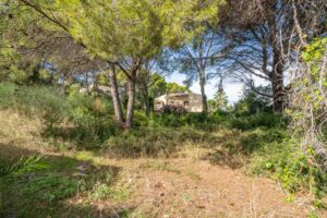Foto van Perceel in Javea Adsubia – afbeelding 5
