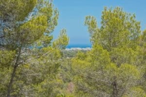 Foto van Perceel in Javea Tosalet 5 – afbeelding 14