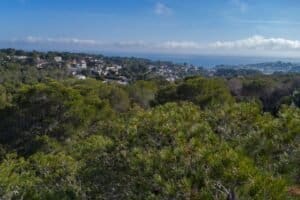 Foto van Perceel in Benissa Raco de Galeno – afbeelding 6