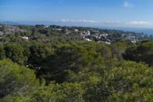 Foto van Perceel in Benissa Raco de Galeno – afbeelding 7