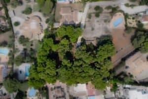 Foto van Perceel in Javea Cap Marti – afbeelding 4