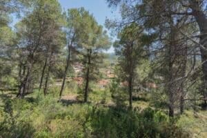 Foto van Villa in Alcalali La Solana Gardens – afbeelding 69