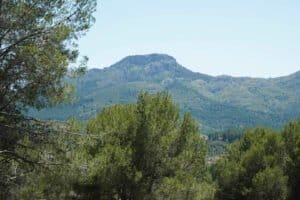 Foto van Villa in Alcalali La Solana Gardens – afbeelding 20