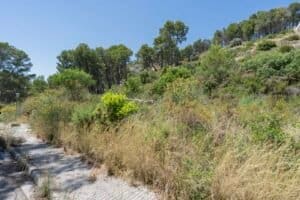 Foto van Villa in Alcalali La Solana Gardens – afbeelding 21