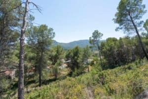 Foto van Villa in Alcalali La Solana Gardens – afbeelding 24