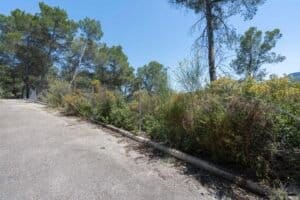 Foto van Villa in Alcalali Solana Gardens – afbeelding 28