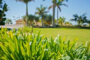 Foto van Villa in Altea Sierra de Altea – afbeelding 61