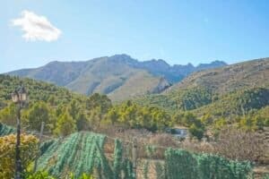 Foto van Villa in Benissa – afbeelding 2