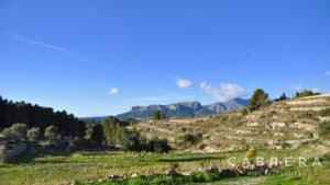 Foto van Villa in Benissa – afbeelding 28