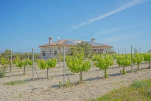 Foto van Villa in Benitachell – afbeelding 39