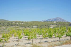 Foto van Villa in Benitachell – afbeelding 44