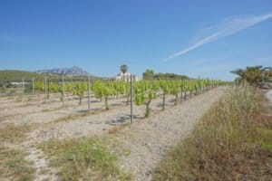 Foto van Villa in Benitachell – afbeelding 9