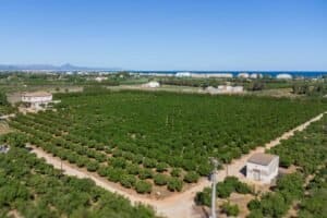 Foto van Villa in Denia – afbeelding 18