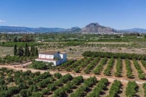 Foto van Villa in Denia – afbeelding 2