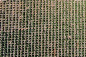 Foto van Villa in Denia – afbeelding 23