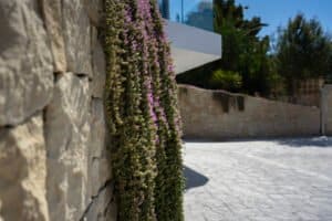 Foto van Villa in Javea – afbeelding 51