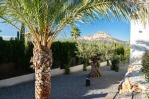 Foto van Villa in Javea Piver – afbeelding 32