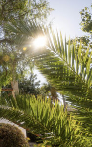 Foto van Villa in Javea Tosalet – afbeelding 56