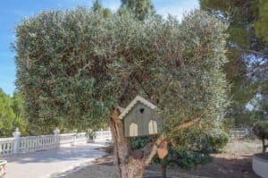 Foto van Villa in La Nucia Sierra Verde – afbeelding 52