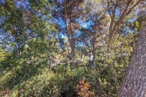 Foto van Villa in Moraira San Jaime – afbeelding 4