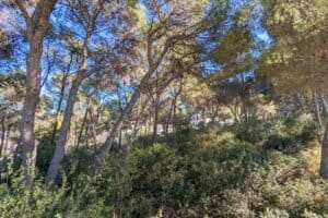 Foto van Villa in Moraira San Jaime – afbeelding 6