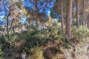 Foto van Villa in Moraira San Jaime – afbeelding 7