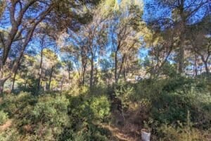Foto van Villa in Moraira San Jaime – afbeelding 8