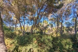 Foto van Villa in Moraira San Jaime – afbeelding 9