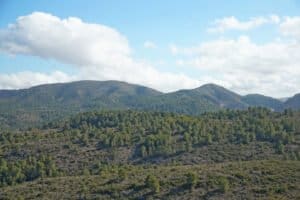 Foto van Villa in Pedreguer Monte Solana – afbeelding 8