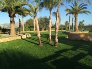 Foto van Villa in Pedreguer – afbeelding 5