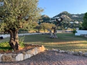 Foto van Villa in Pedreguer – afbeelding 6