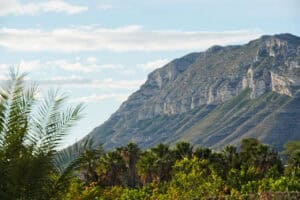 Foto van Appartement in Denia La Pedrera – afbeelding 21