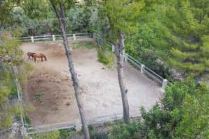 Foto van Commercieel in Orba – afbeelding 3