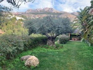 Foto van Villa in Altea – afbeelding 3