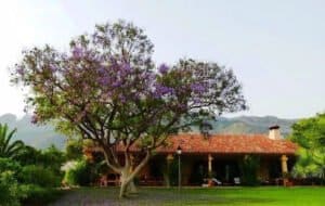 Foto van Villa in Altea – afbeelding 23