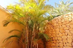 Foto van Villa in Altea Altea Hills – afbeelding 20