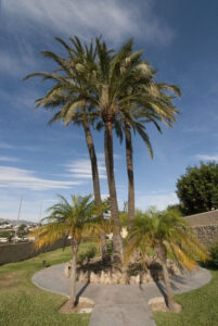 Foto van Villa in Benissa – afbeelding 38