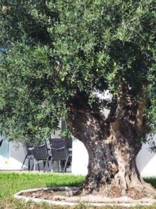 Foto van Villa in Calpe – afbeelding 12