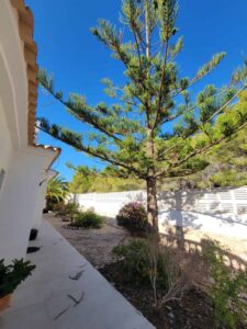 Foto van Villa in Calpe – afbeelding 20