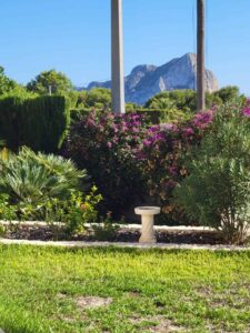 Foto van Villa in Calpe – afbeelding 31