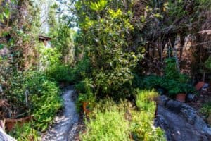 Foto van Villa in Calpe La Cometa – afbeelding 8