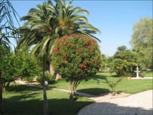 Foto van Villa in Denia – afbeelding 7