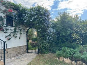 Foto van Villa in Denia La Xara – afbeelding 4