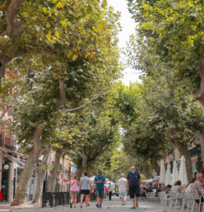 Foto van Villa in El Verger – afbeelding 8