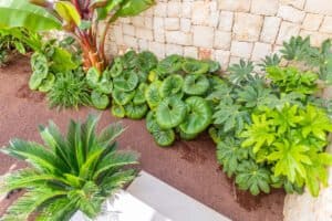 Foto van Villa in Jávea – afbeelding 15