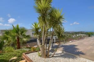 Foto van Villa in Jávea Monte Olimpo – afbeelding 42