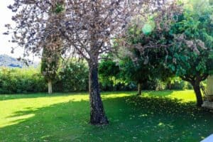 Foto van Villa in Jesús Pobre – afbeelding 30